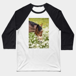 Summer Grazing Baseball T-Shirt